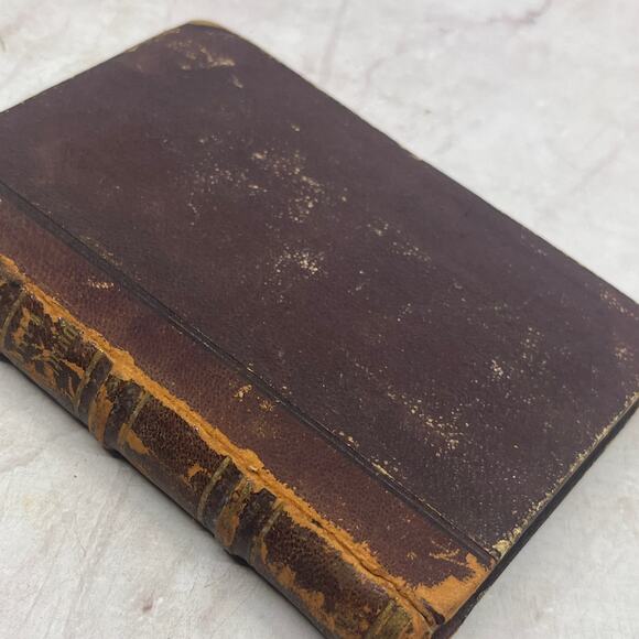 None Other - 1840 Voltaire Philosophical Conversations Peregrinus Syntax German Book TE3-OB